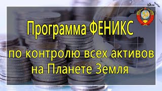 Программа ФЕНИКС по контролю всех активов на Планете Земля Программа ФЕНИКС по контролю всех активов на Планете Земля
