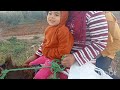 شوفو بلاذنا کي کتوالي فوقت الربيع الجو شحال غزال في البادية
