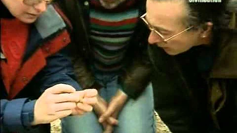 Time Team S02-E05 The Saxon Graves (Winterbourne G...