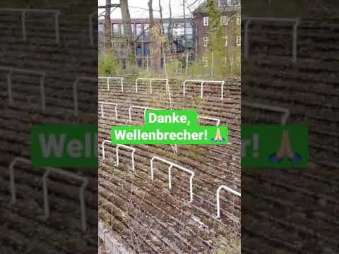 Wort des Jahres
