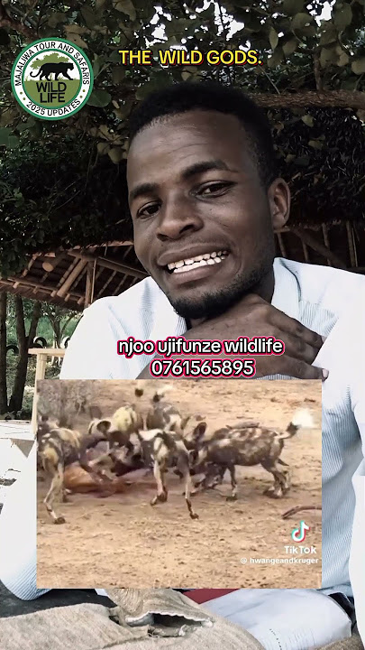 WANYAMA WENYE MAWINDO YA KIKATILI.