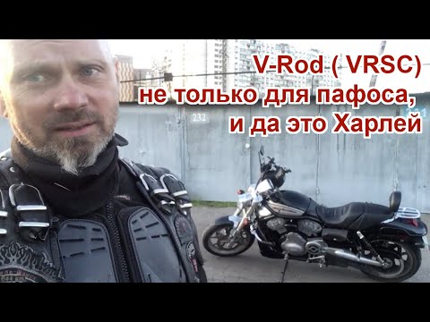 Video: Kuinka monta cc on Harley V Rod?