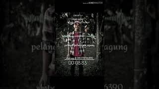 Download Lagu Story whatsapp sayang kowe cover sefira inema MP3