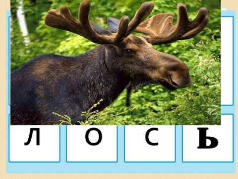Дидактическая игра