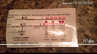 TTC update bfN! CD27 10dpo  next cycle#2