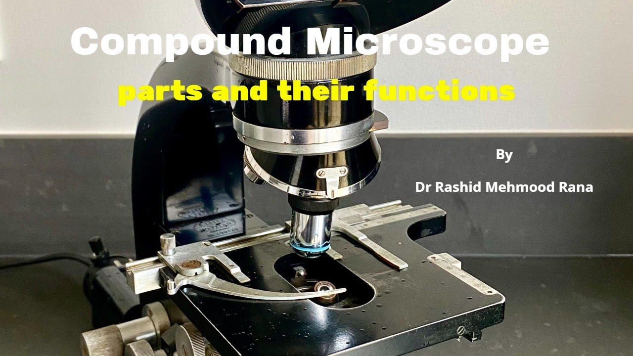 Compound Microscope parts and their functions - YouTube