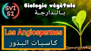 Les Angiospermes || biologie végétale بالدارجة (Svi s2) screenshot 1