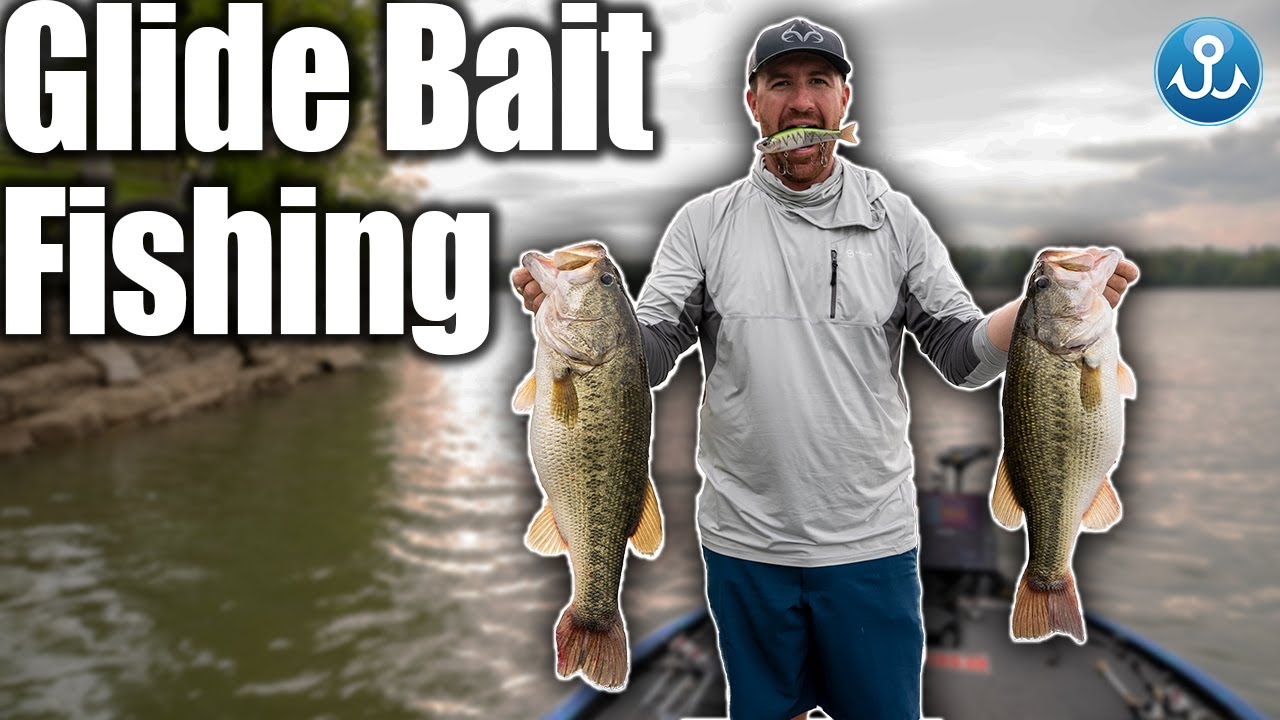 Glide Baits: An Underutilized Tool For The Fall Run - The Fisherman