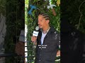 Money Shorts 
