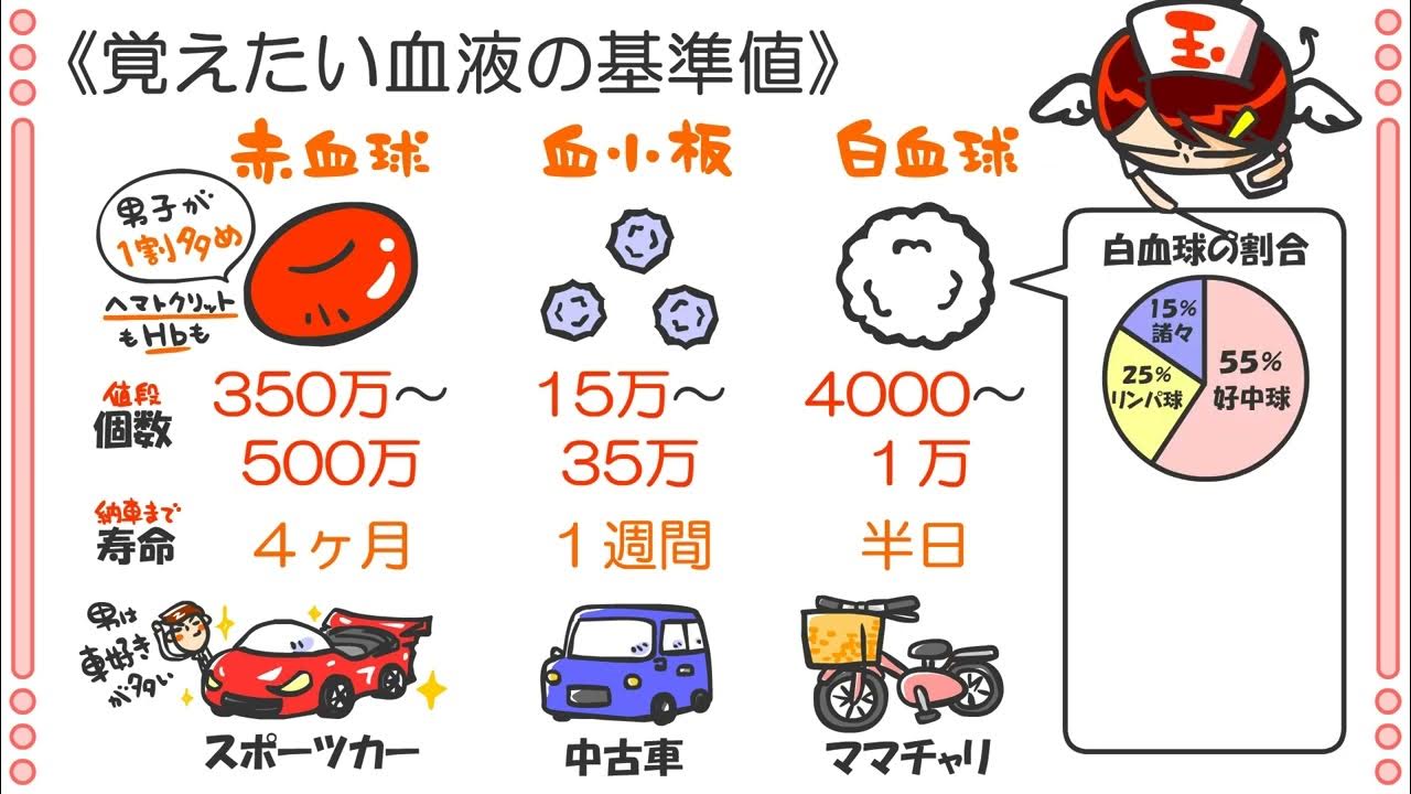 ptnas21「血球基準値暗記」 YouTube