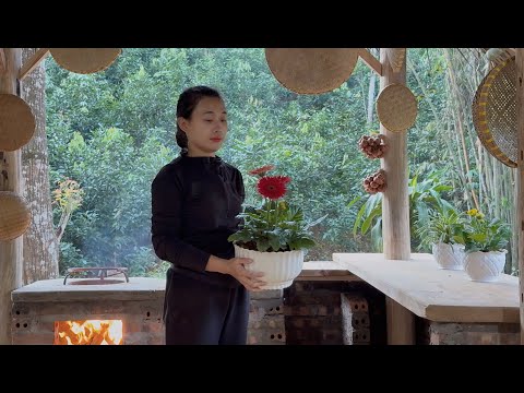 Female Secretary Leaves The City For The Forest Repairs Her Small Kitchen In The Middle Of Nature