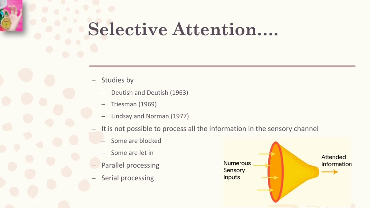 selective-attention-factors-of-selective-attention-in-urdu-hindi