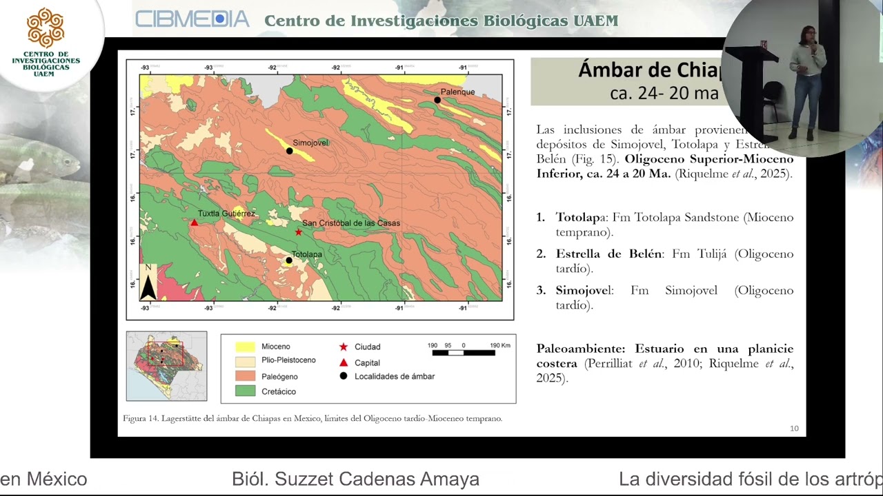 CONFERENCIA: La diversidad fósil de los artrópodos terrestres en México