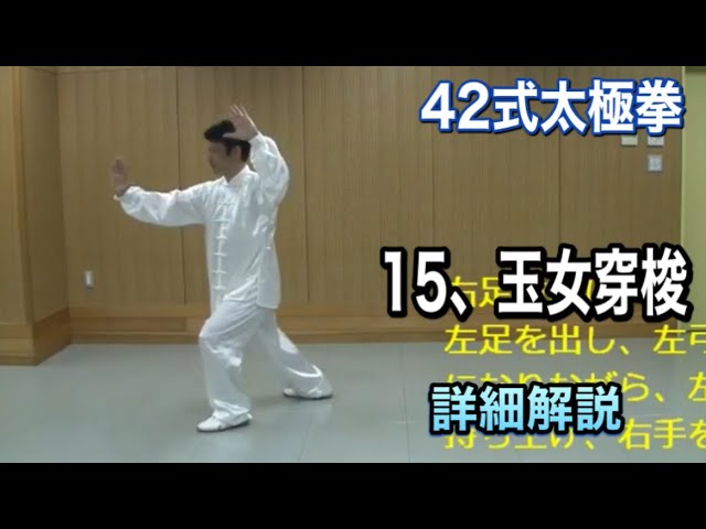 42 Tai Chi Forms 14, Turning the Body and Pushing the Palm