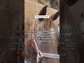 You rewatched twice so they don’t close my sanctuary… $1200 left 😢💔 (NY)