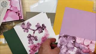 Expressions In Color - Unboxing the June 2021 Paper Pumpkin Kit