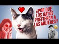 ¿Por qué los GATOS prefieren a las MUJERES? 😻♀️ | Lo que dice la ciencia 🤖