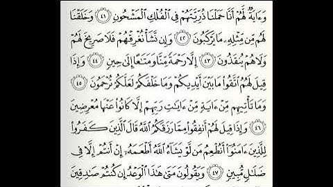 تلاوات مختارة سورة يس كاملة القارئ عامر المهلهل