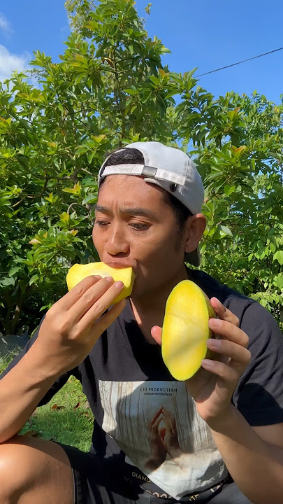 Mangga pakel paling langka di indonesia #manggapakel #mangga