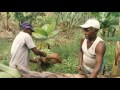 Brasil: La lucha de los Quilombolas por la tierra. Captura de vídeo. La ONU en Acción