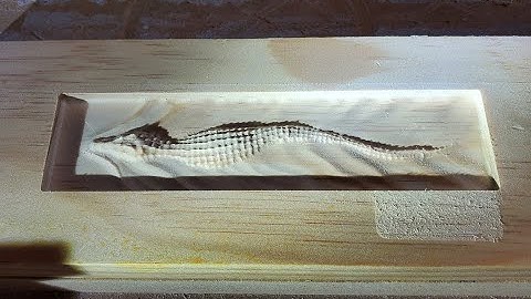 Workbee Centroid Acorn CNC Router Gator Cut