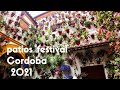 Patios festival in Cordoba 2021(festival de patios cordoba) コルドバのパティオ祭り【SPAIN travel, Cordoba #1】