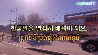 រៀនភាសាកូរ៉េប្រយោគខ្លីៗ ប្រចាំថ្ងៃ Learn about korea short sentences 쉽고 간단한 한국어로 문장 배우기