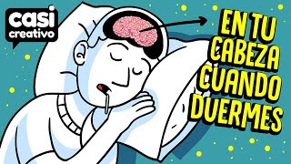 Lo que pasa en tu cabeza cuando duermes | Casi Creativo