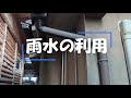 雨水をメダカ池に