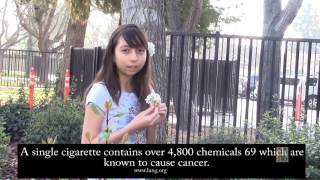 SEVA 2016 - PSA 4-6 Honorable Mention -  Don't Waste Your Time on Smoking