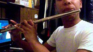 Hot Wings (I Wanna Party) (from Rio) - Flute Cover Resimi