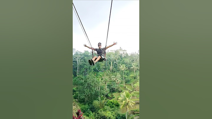 Bali Swing reality #swing #bali #riceterrace #ubud #tourist