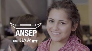 ANSEP - Success