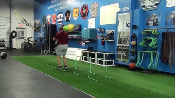 Continuous Hurdle Jumps