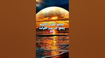 #ماهر_المعيقلي استمع للقرآن الكريم يشفع لك يوم القيامه #دويتو #اكسبلور #المصحف #ارحقلبك #لايك