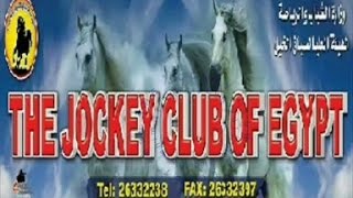 49الهيئة العليا لسباق الخيل1890 الجواد مدفعجى Horse Mudfaeiji موسم1992-1993