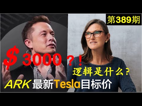 第389期： 👉👉 最新！ARK预测Tesla 2025年目标价格......$3000 ？！！Cathie Wood的故事。