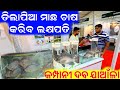     sago highland aquatic tilapia fish farming heavy profit full detail odisha