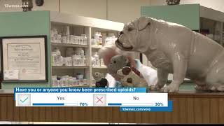 Medical experts explain opioid prescription process
