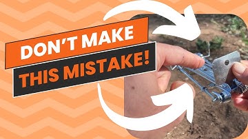 Most Effective Way to Set a Victor Gopher Trap