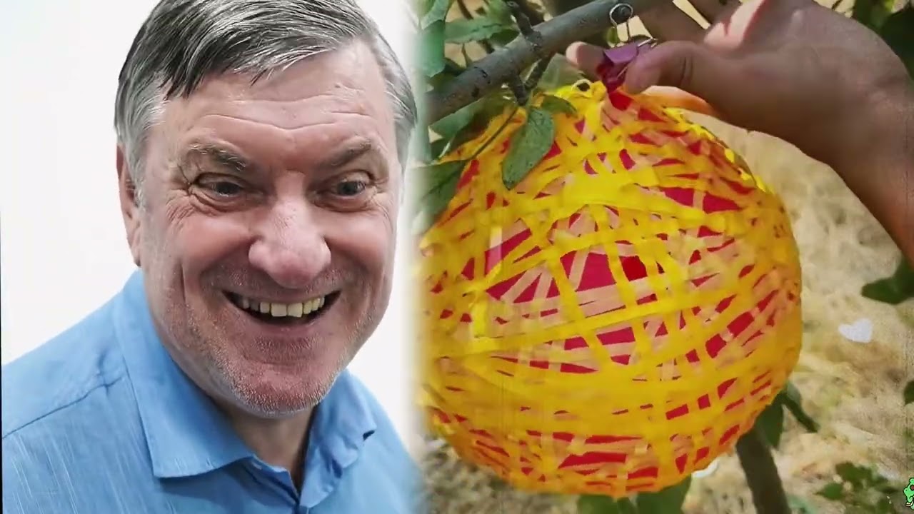 🤣👌👌👌2025 pov Must-Watch Crazy Clips Compilation 