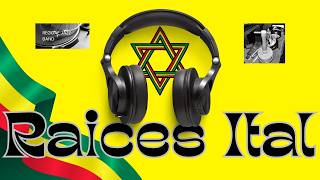 POSITIVE VIBRATION Cuando la Música Une… y También Enseña