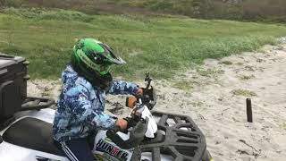 : Regulmoto sport 003,   200   Polar Fox.  -   