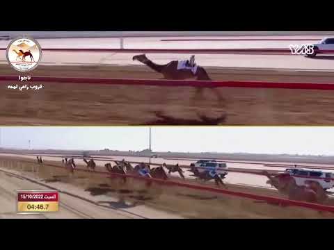 الشوط 22 شديد لـ أحمد خلفان بخيت بالصايغ المزروعي ميدان الوثبة اللقايا التوقيت 05 59 7