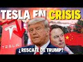 Donald TRUMP HUNDE A TESLA! y Elon Musk TIEMBLA