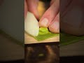 Non sempre il economico è meglio — conta la durata #leathercraft #handmade #torross #diy