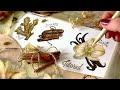 How to draw Vanilla flower, Cinnamon, Ginger ~ Botanical illustration tutorial~ Drawing with markers