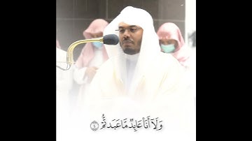 سورة الكافرون-ياسر الدوسري☺️😍تلاوة خاشغة