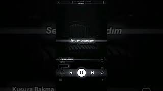 Kusura Bakma Seni Unutamadım...