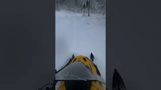 Зимний лес#2022-23/ Ski doo tundra LT 550f